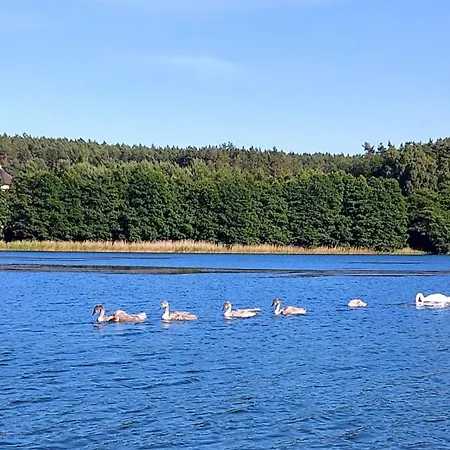 Prázdninový dům Domus Mare Tiny House 2 Wisełka