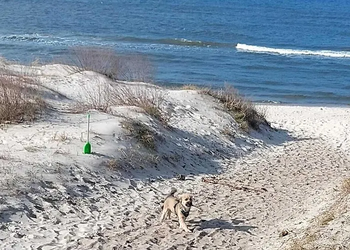 Domus Mare Tiny House 2 Wisełka